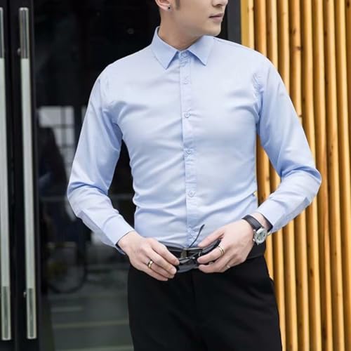 【Tessuto e colore】 Camicia da uomo a maniche lunghe e colletto con bottoni, ideale per varie occasioni (2XL blu)