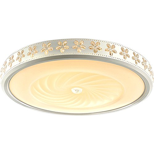 Lampe de plafond salle d'étude LED en acrylique moderne pour salon et chambre