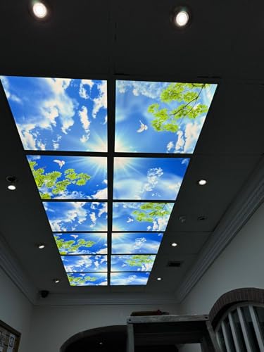 Image of Generic 4 Pack LED Sky Panel 600x600 Blue Sky Bird Design 160W Office Tiles Clinic Practice Ceiling Lighting
