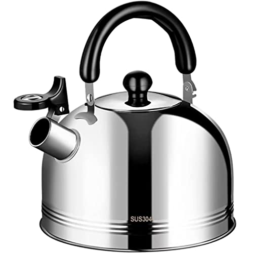 Théière en acier inoxydable 304 et bouilloire à eau chaude pour plaques de cuisson