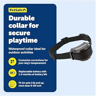 PetSafe Stay & Play Wireless Fence Replaceable Battery Receiver Collar - Waterproof & Battery-Operated Adjustable Static Correction Collar - for Dogs 5lb+
