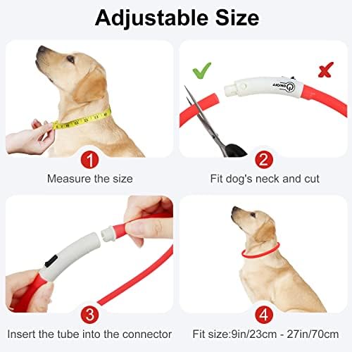 Dynmeow Light up Dog Collar, Flashing LED Dog Collar Lights for the Dark, USB Rechargeable Glowing Collars for Puppy Small Medium and Large Dogs, Red