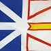 Imagen de AZ FLAG Bandera Náutica Terranova y Labrador 45x30 cm Anillas Plástico