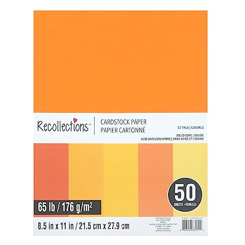 Papier cartonné Recollections pour albums souvenirs et loisirs créatifs
