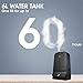 Miroco Cool Mist Humidifier, 26dB Ultra Quiet, 6L Ultrasonic Humidifiers for Large Bedroom Babies, 90mm Water Inlet, Night Light, Adjustable Mist, Automatic Shut-Off for Home Office 20-60 Hours, Black