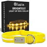 Blazin Light Up Dog Collar - The Original LED Dog Collar - USB Rechargeable - Waterproof - 1,000 Feet of Visibility - Dog Collar Light for Small, Medium, Large Dogs - USA Brand