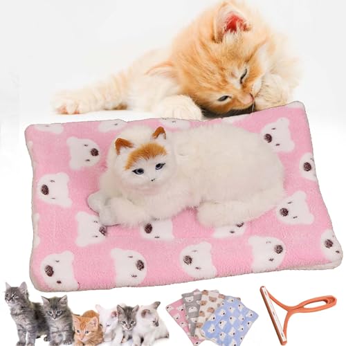 DASHENRAN Cozy Calming Cat Blanket, Cozy Calming Cat Blankets for Indoor Cats, Cozy Cat Calming Blanket, Cozy Calming Cat Blanket for Anxiety and Stress (L,H)
