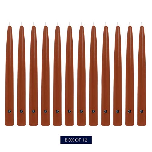 Image of Colonial Candle Unscented Taper Candle, Handipt Collection, Amber, 10 in, Pack of 12 - Up to 8 Hours Burn