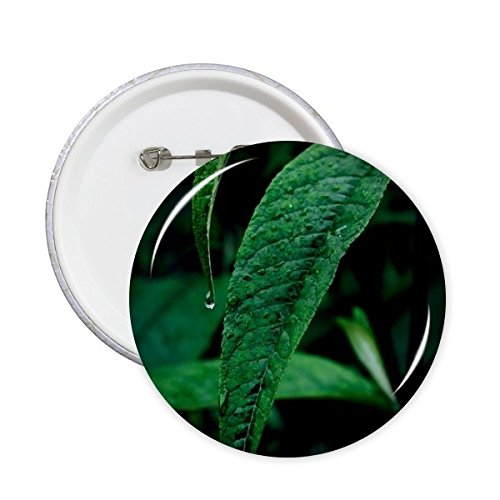 Badge bouton multicolore XXL idéal comme décoration de cadeau original