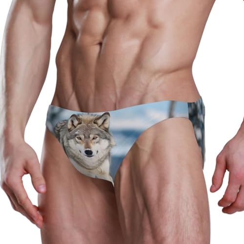 Wolf Men's Swimwear Sexy Bikini Solid Siwmming Briefs L 208541374