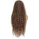 PIB 32'' Full Lace Bohemian Box Braid Wig - Knotless Braided Wigs for Black Women - Synthetic Braided Wig with Natural Baby Hair - Off Black and Brown #1B30