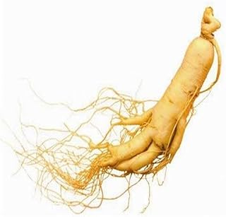 100Pcsvegetables Fruit Herbal Ginseng Seeds White American Ginseng Seeds Bonsai Plants Seeds for Home &Amp; Garden