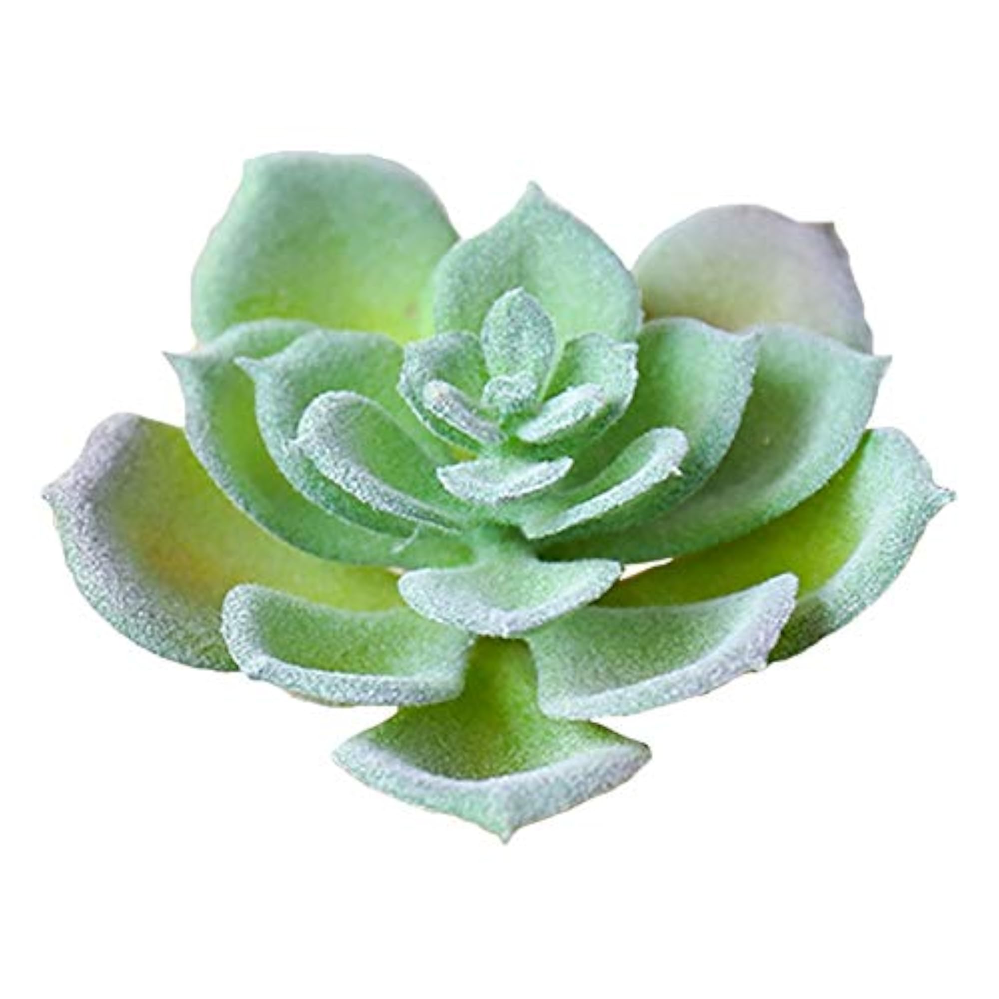Imitation Succulent Flower Head Accessories