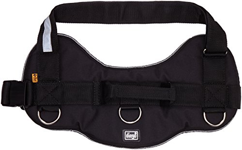Dingo Dog Harness Handmade Reflective STRONG Modern Handle on the Back Sport Type Black 12940, 6