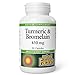 Natural Factors - Turmeric & Bromelain 450mg, Superior Standardized Extracts, 90 Capsules