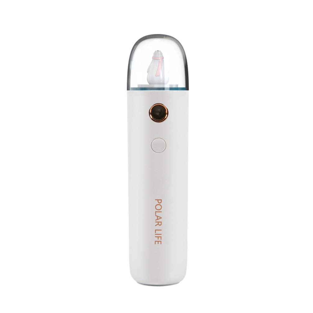 Garneck Facial Sprayer USB Charging Nano Handheld Spray Humidifier Beauty Hydrating Instrument for Lady Woman Girl Skin Care Moisturizing(Sea Bear)