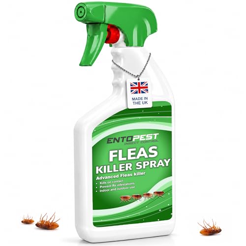 Entopest Fleas Killer Spray Fast-Acting Insect Control Solution for Home Garden Patio & Indoor/Outdoor Use | Kills Fleas on Contact | Prevents Re-infestations | (500ml)