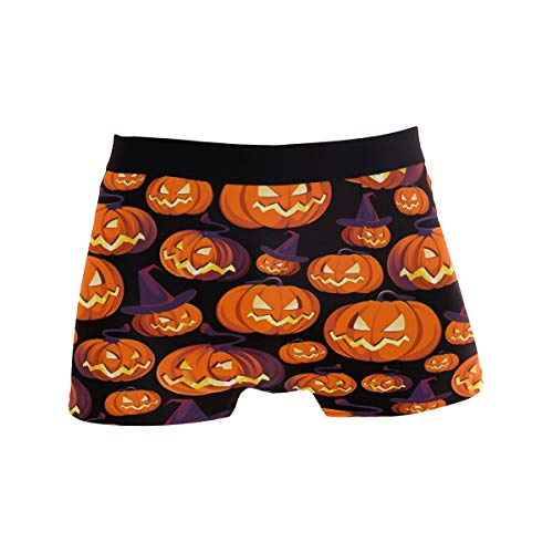 ZZKKO Raccoon Mens Boxer Briefs Underwear Breathable Stretch Boxer Trunk with Pouch S-XXL