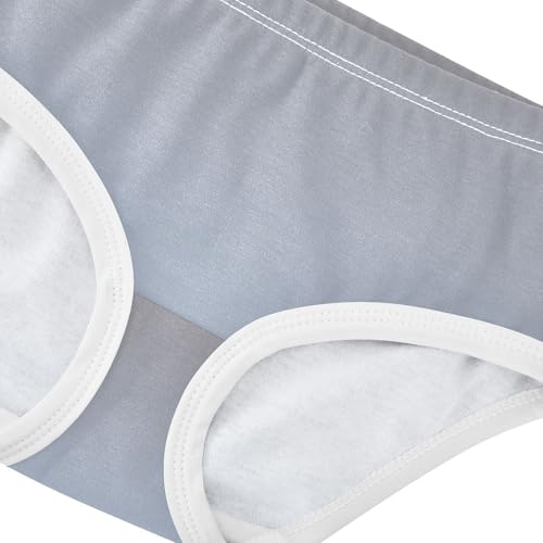 Joisal Colorful Girls Underwear Toddlers 2t Cotton Panties for Girl Taupe Light Steel Blue Gradient Kids Briefs Undies4