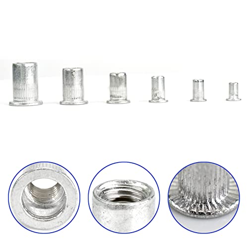 185Pcs Rivet Nut Flat Head Metric Threaded Rivnut Insert Standard Rivetnut Blind Nutsert Assortment Kit Set M3 M4 M5 M6 M8 M10 M12,304Stainless Steel #TOP1