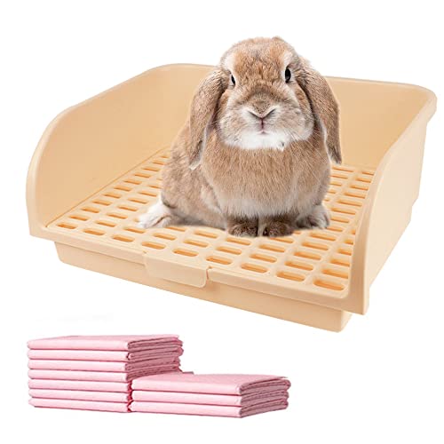  gC ^ `` tFbgp lpgC |֗ K ^ɂ҂ TCY傫 Ǖt ې􂢉\ 10pbhtx[WE