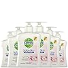 Dettol Handzeep – Extra Care Gevoelige en Normale Huid Lotus & Kamille 6 x 250 ml Grootverpakking