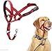 Company Of Animals HALTI Headcollar, Red, 3-Size