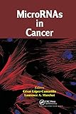 MicroRNAs in Cancer