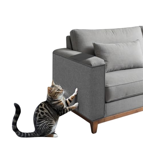 Arranhador para Gatos com Apoio para Controle Remoto Multifuncional