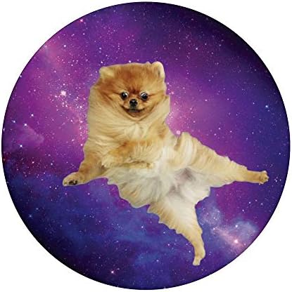 pomeranian popsocket