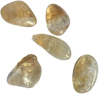Citrine Crystal Small Tumble Stone - 5 Pc