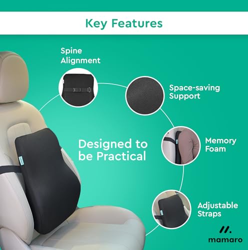 Image of Memory Foam Car Seat Cushion with Lumbar Support - Ergonomic Backrest for Upper, Middle & Lower Back Pain Relief | Posture Correction Chair Support for Car & Office Use | 17x15x5inch, Black