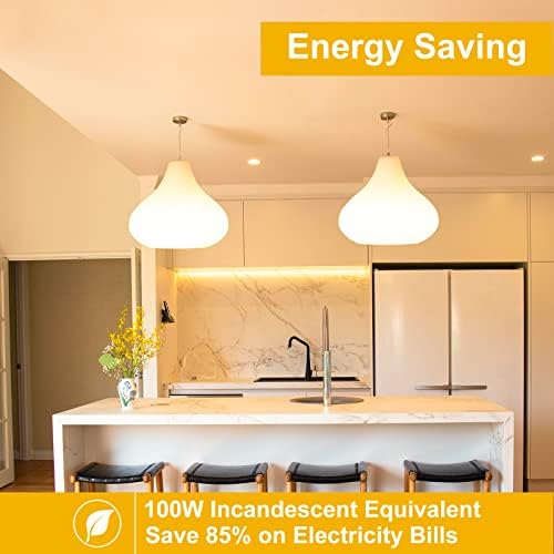 AKASUKI E27 Screw LED Light Bulb 10 Pack Edison Screw in Light Bulbs 13W, 100W Incandescent Lamps Equivalent, Warm White 2700K, Energy Saving Lamp for Floor Lamps, Ceiling Lighting, Non-Dimmable