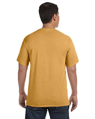 Image of Comfort Colors Adult Short Sleeve Tee, Style G1717