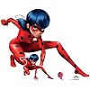 Lady Bug