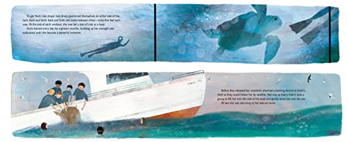 Yoshi, Sea Turtle Genius: A True Story about an Amazing Swimmer - Image 6