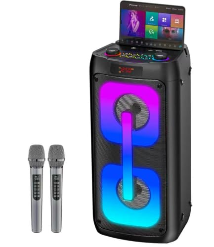 Gesnada 120W Outdoor Karaoke Speaker with 2 Mics