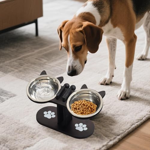 Bols sur support pour petit chien pour éviter les reflux - 7