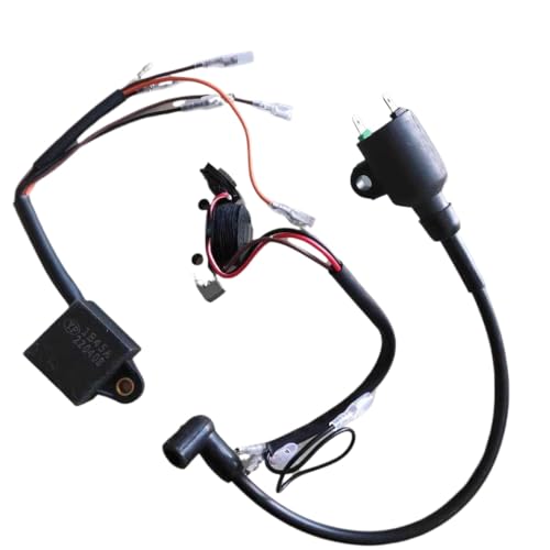 Bobine d'allumage compatible avec 950 modèles de générateurs et moteurs de rechange