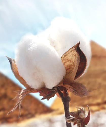 Men'S Cotton Pajama Pants Lightweight Soft Sleep Lounge Pants Men'S Loose Fashionable Plaid Loungewear4