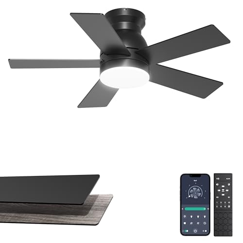 Phylluz 32 Black Flush Mount Ceiling Fan with Light for Hallway Closet