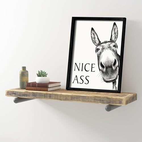 Generisch WC Deko, Wandbilder Esel, Poster Badezimmer Wandkunst Vintage Lustig mit Rahmen, Humor Esel Leinwand Für Zuhause Bad Dekoration