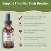 PetAlive ProsPet Drops for Pet Prostate and Bladder Health - Herbal Supplement for Dog Urinary Tract, Bladder and Immune Support - Constipation Relief - 59 ml