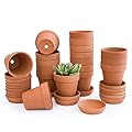 D'vine Dev Terracotta Pots with Saucers, Clay Pots for Plants & Succulents, 588-A