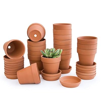 D'vine Dev Terracotta Pots with Saucers, Clay Pots for Plants & Succulents, 588-A