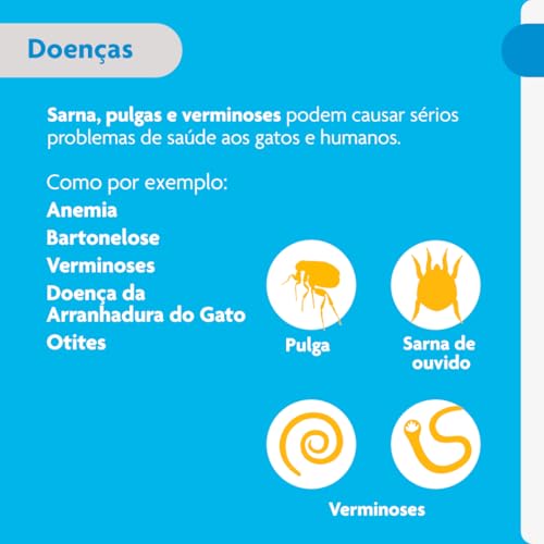 Bravecto Plus Antipulgas e Carrapatos Gatos 6,25 a 12,5 Kg