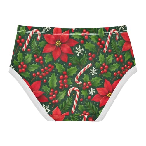 Joisal Red Poinsettia Flowers Christmas Girl Panties Cute Toddler Girls Underwear Cotton Aesthetic Briefs Girls Undies 2t2