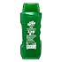 Irish-Spring 5-in-1 Shampoo, Conditioner, Body Wash, Face Wash and Deodorizer, 18 oz (Pack of 4)