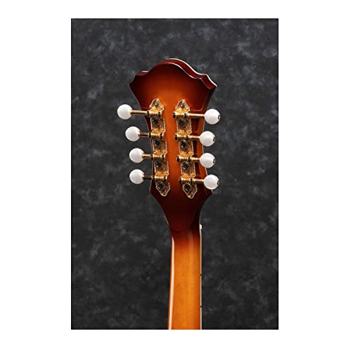 Ibanez M700S 8-String F-Style Mandolin Acoustic Guitar (Antique Violin Sunburst High Gloss) #TOP5