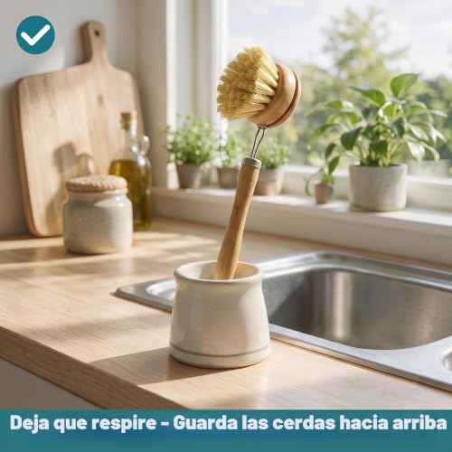 Miniatura 10 de Jungle Culture 6 Cepillos Naturales Para Lavar Juego De Limpieza De Cocina De Cepillo Ecológico